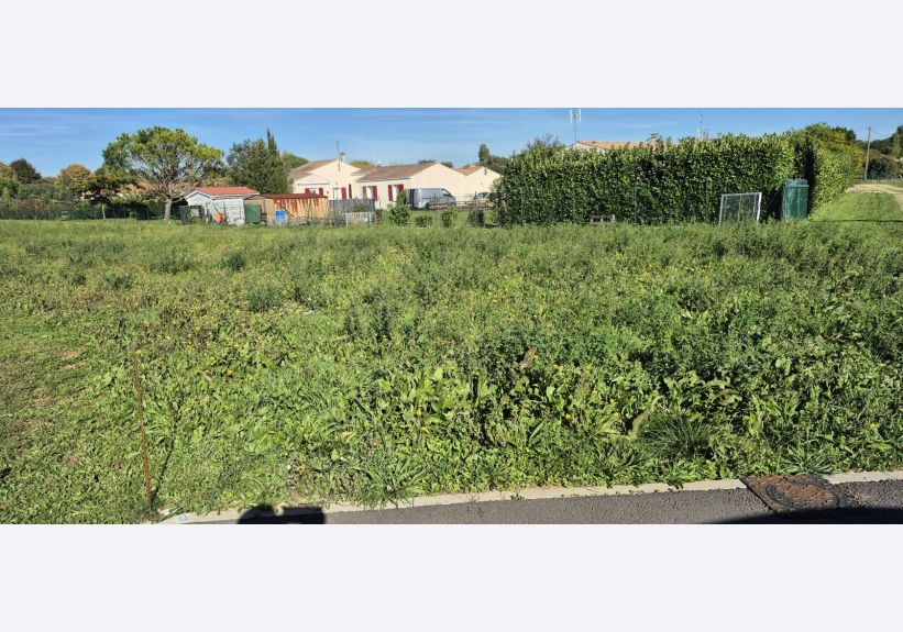 Image du modèle de maison 1000026651