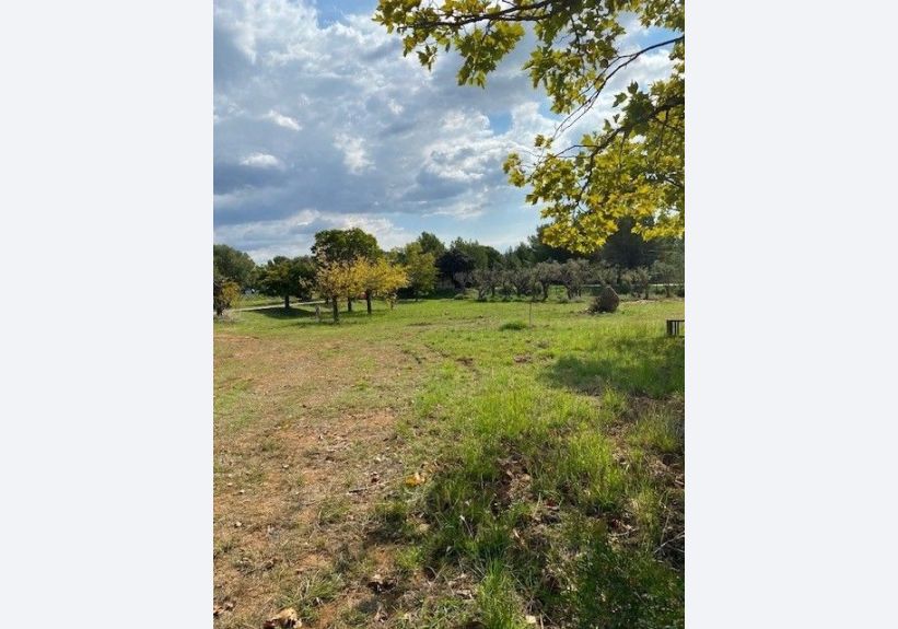 Image du modèle de maison photo 2