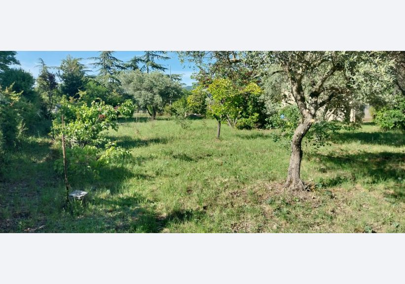 Image du modèle de maison 1000014796