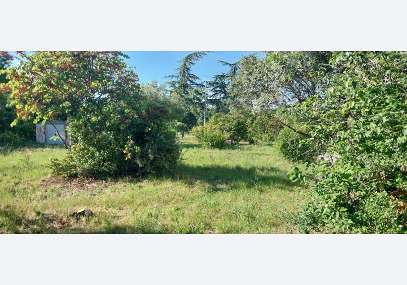 Image du modèle de maison 1000014797