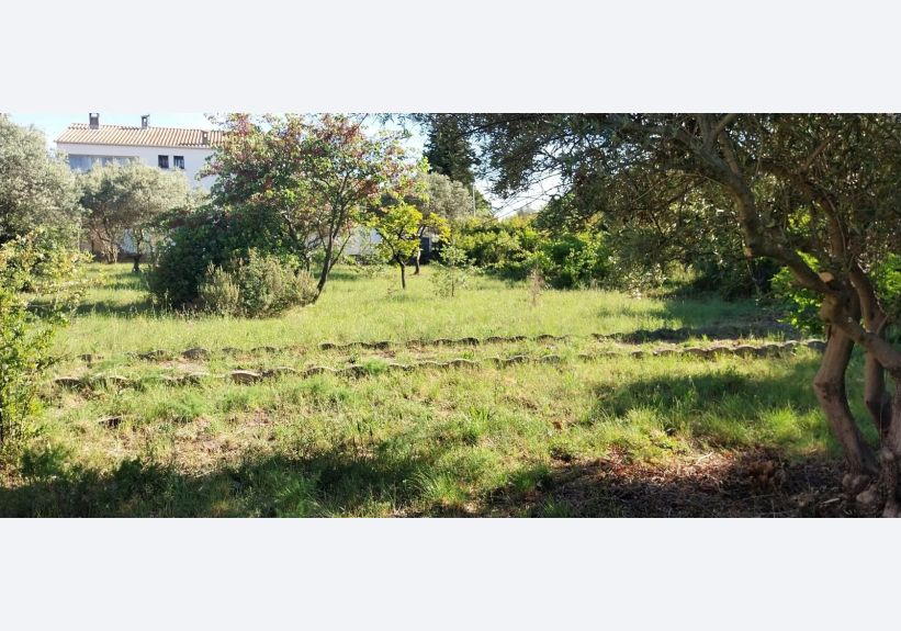 Image du modèle de maison 1000014799