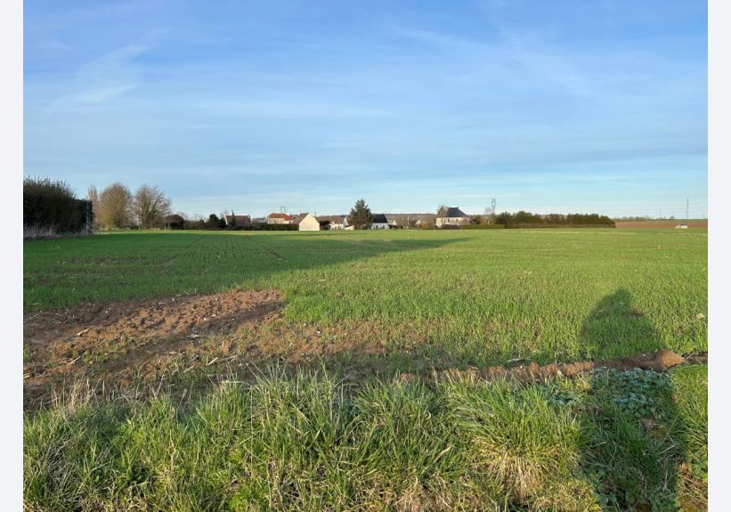 Image du modèle de maison Capture d'écran 2024-07-01 095419.png1