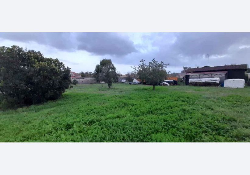 Image du modèle de maison Sans titre