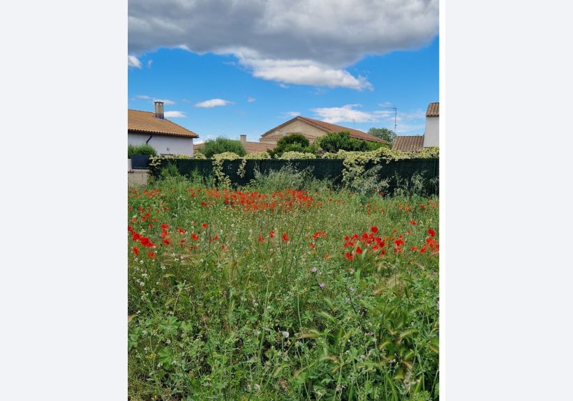 Image du modèle de maison Terrain n1