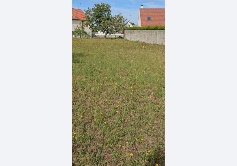 Image du modèle de maison 2