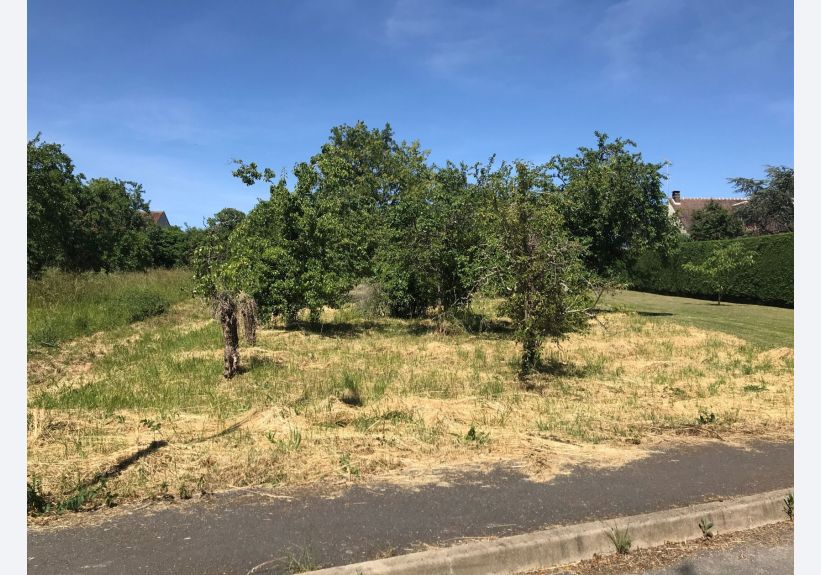 Image du modèle de maison T8+