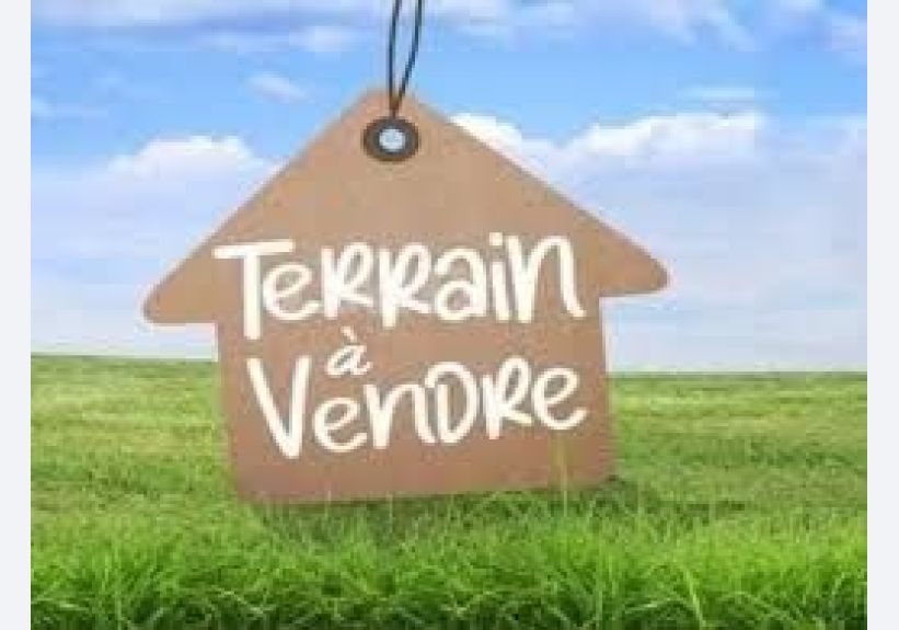 Image du modèle de maison terrain