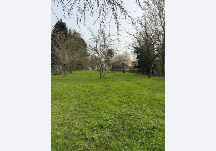 Image du modèle de maison 3a7aab53-9b2f-4d43-8f16-c68ddff6e482