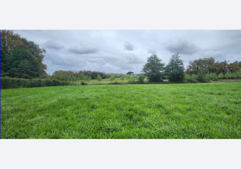 Image du modèle de maison Capture d'écran 2025-09-18 153945
