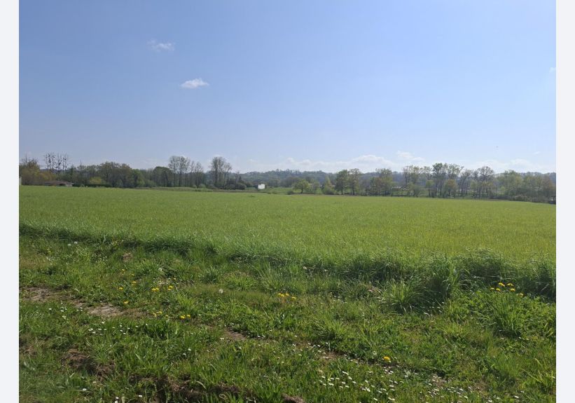 Image du modèle de maison toulouz