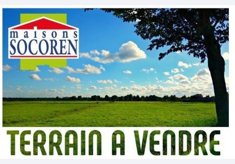 Image du modèle de maison Affichage terrain com