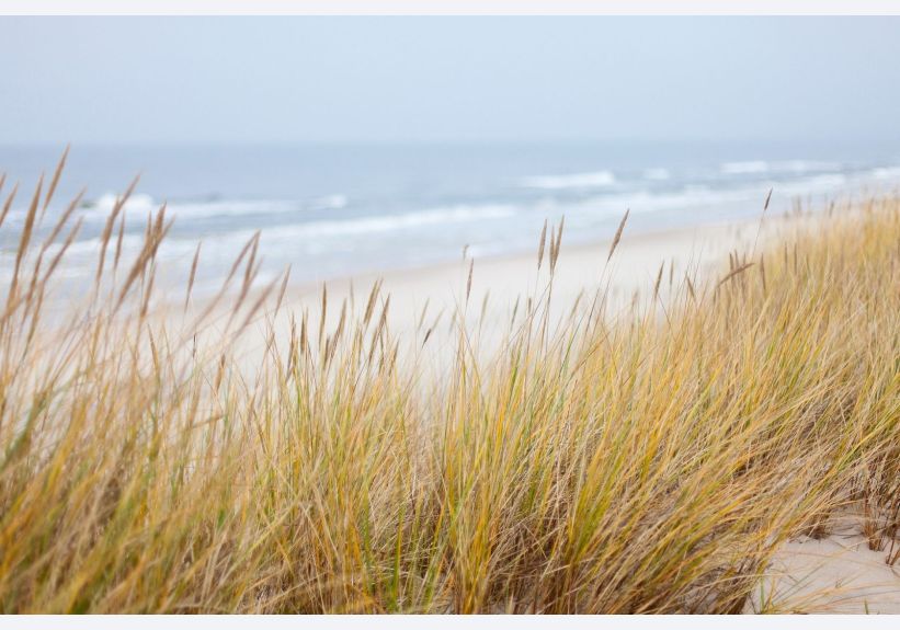Image du modèle de maison plage 2