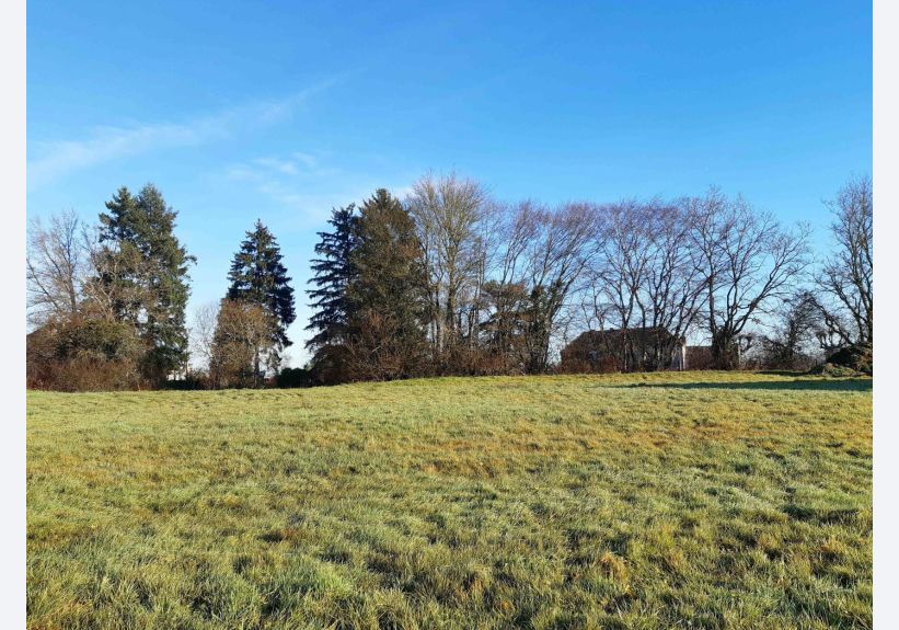 Image du modèle de maison Terrain Perrecy les Forges 71420