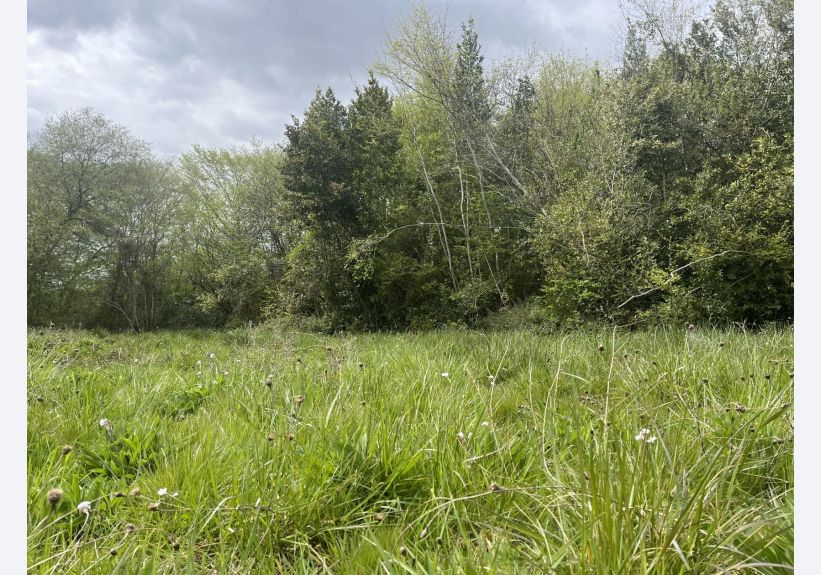 Image du modèle de maison terrain_Sadirac_2