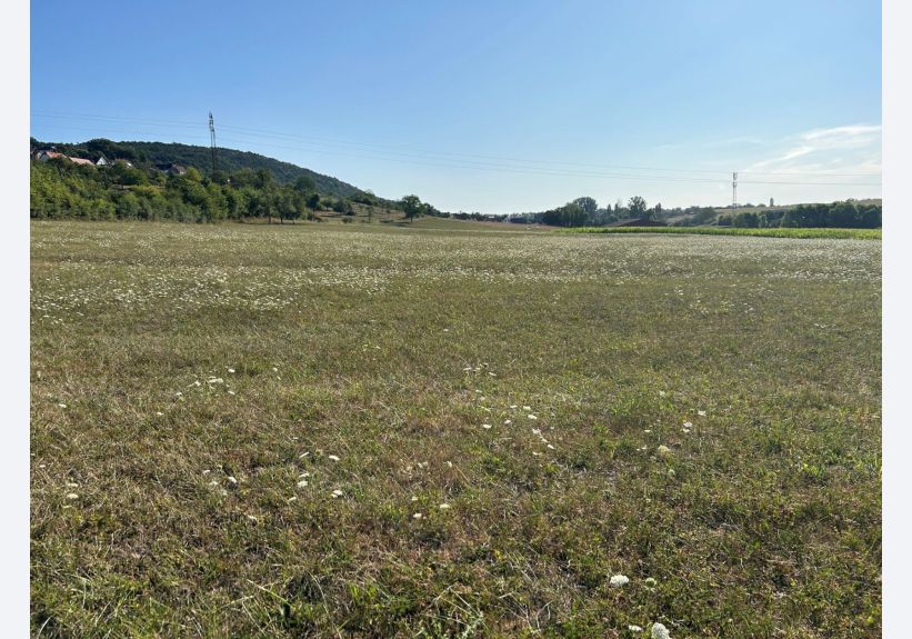 Image du modèle de maison lotissement Westerfeld à Rothbach 1