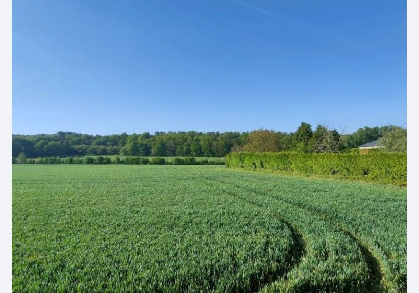 Image du modèle de maison Capture d’écran 2022-10-13 172341