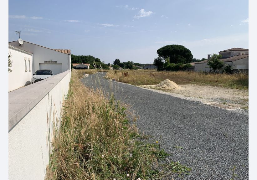Image du modèle de maison vaux sur mer violettes