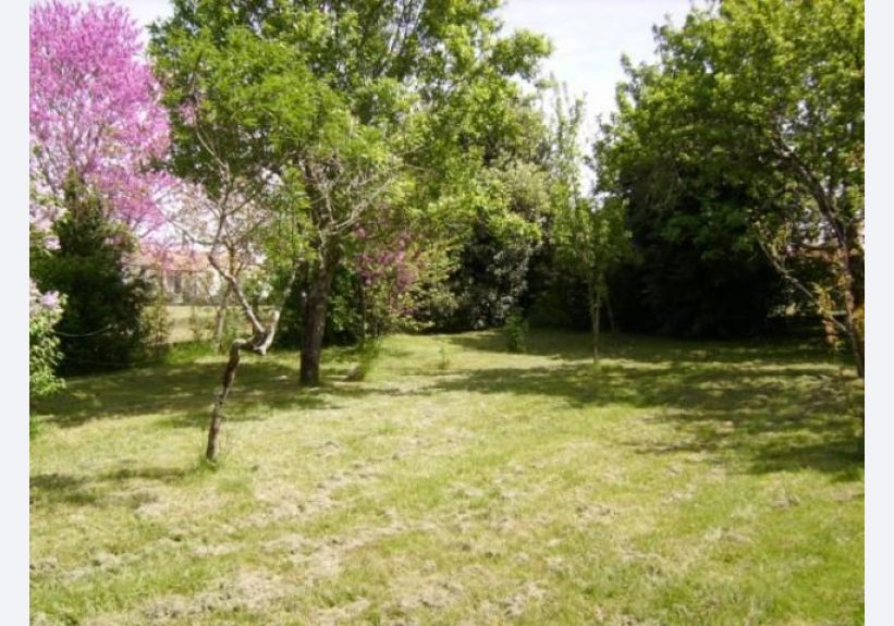 Image du modèle de maison 768ca54efa2f9cbab729022cc36847cd