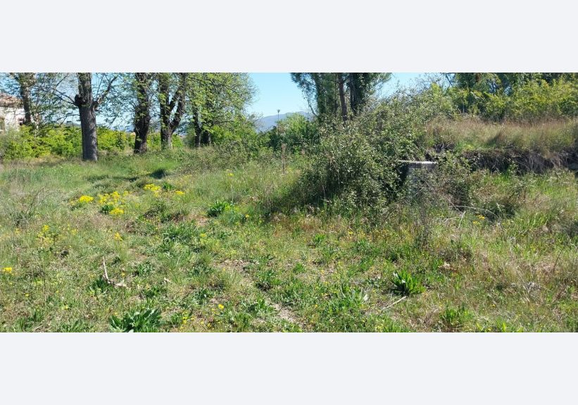 Image du modèle de maison 1000013753