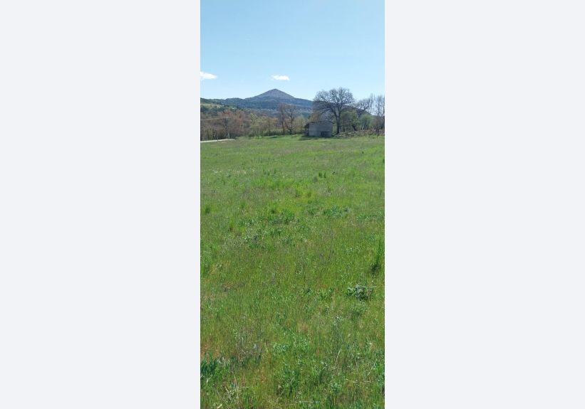 Image du modèle de maison 1000013881