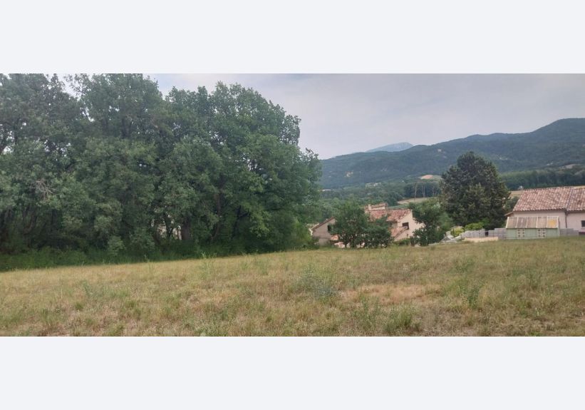 Image du modèle de maison 1000015979