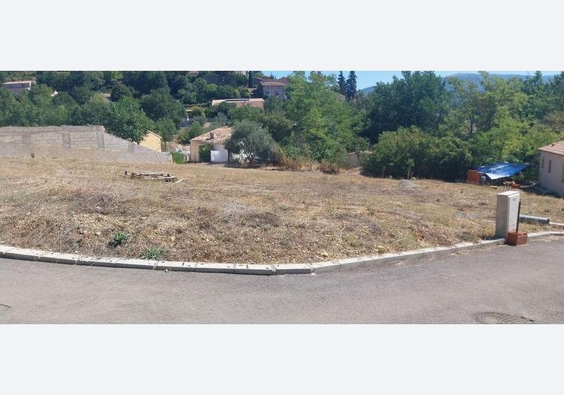 Image du modèle de maison 1000016750
