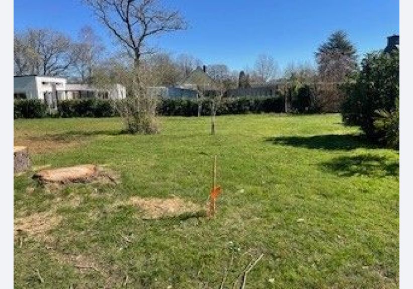 Image du modèle de maison P11L