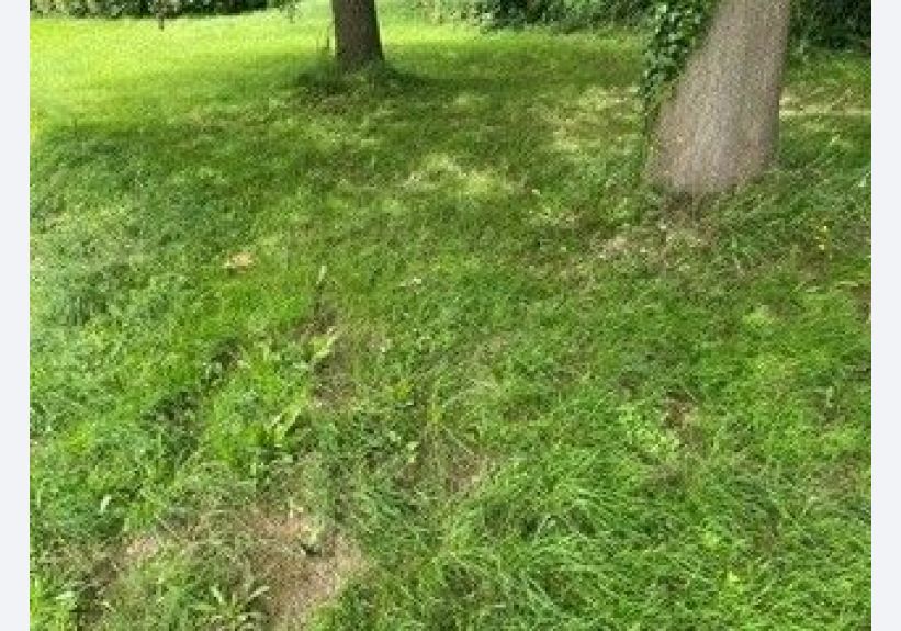 Image du modèle de maison P1