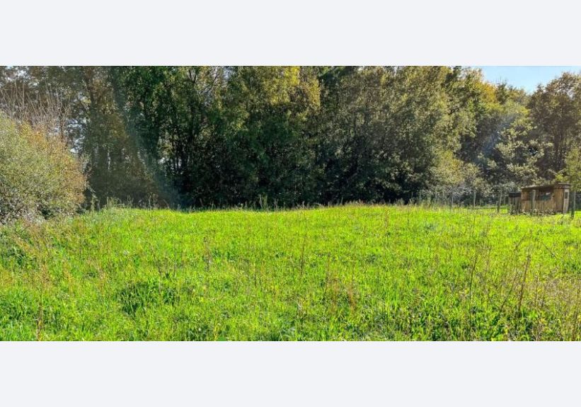 Image du modèle de maison Capture d’écran 2025-10-15 144236