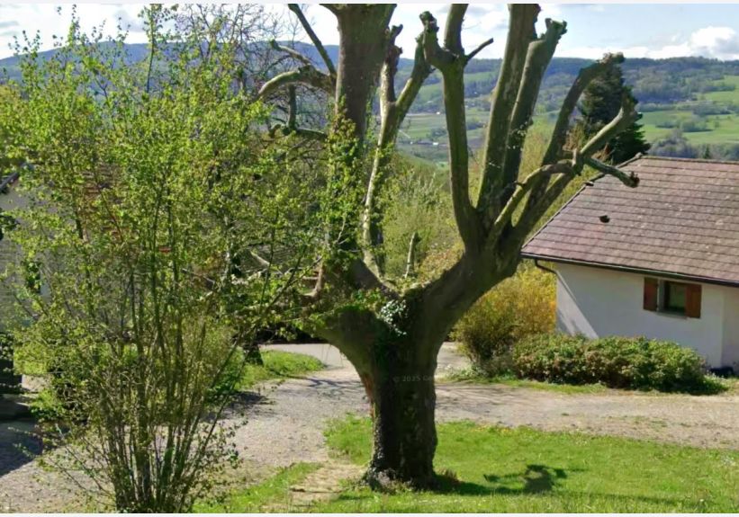 Image du modèle de maison photo 2