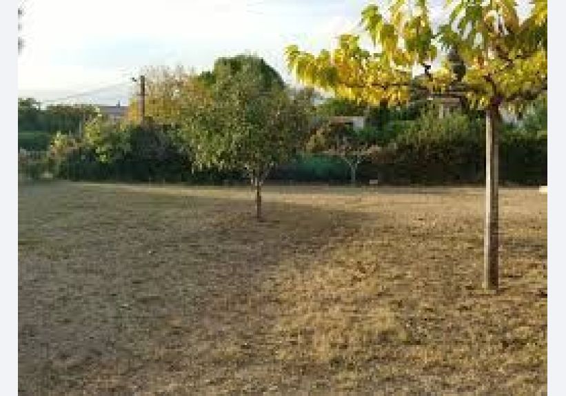 Image du modèle de maison images (9)