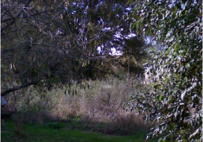 Image du modèle de maison 4BA998F0-B343-480D-AFFD-362005368E55