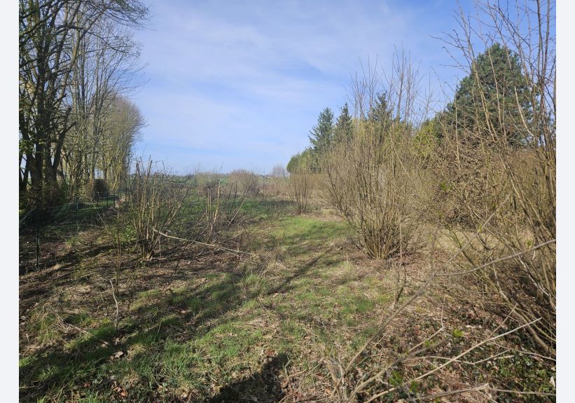 Image du modèle de maison 20260317_112501
