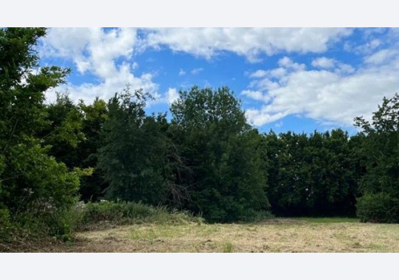 Image du modèle de maison BEAUMONT EN BEINE