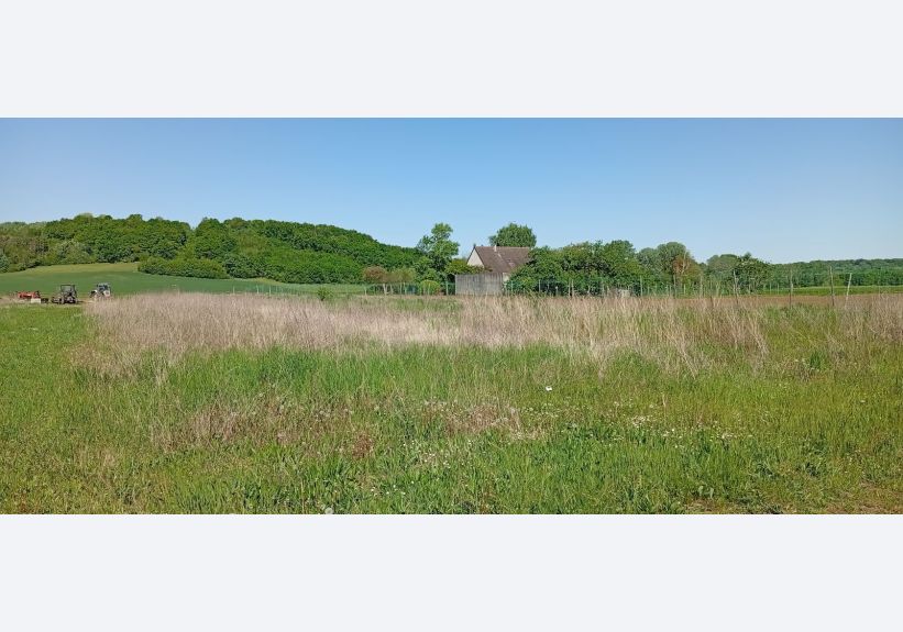Image du modèle de maison 1745935399359
