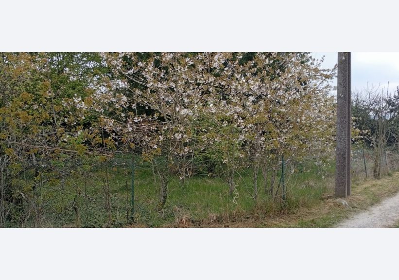 Image du modèle de maison hartennes