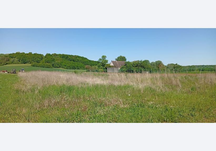 Image du modèle de maison 1745935399419