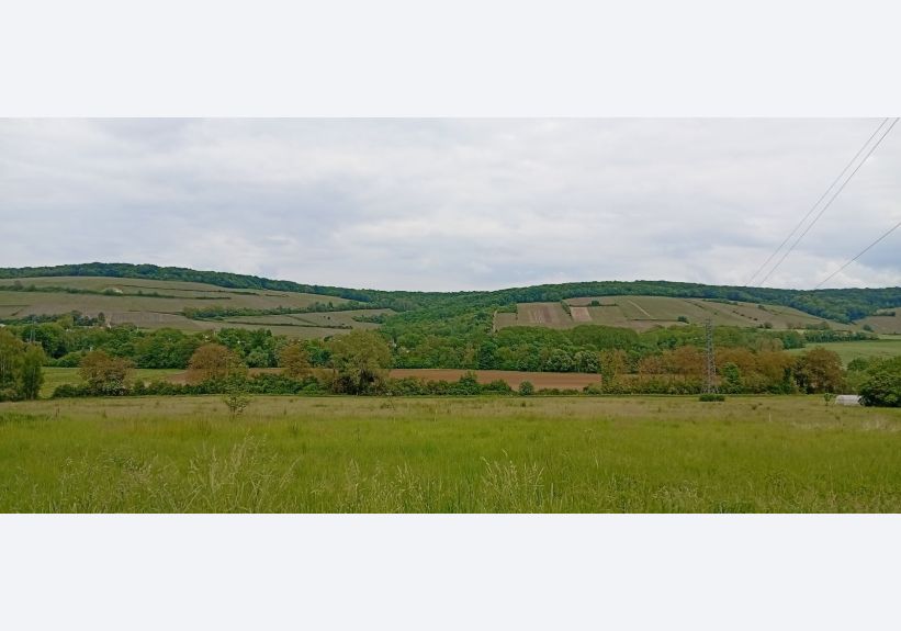 Image du modèle de maison 1000014018