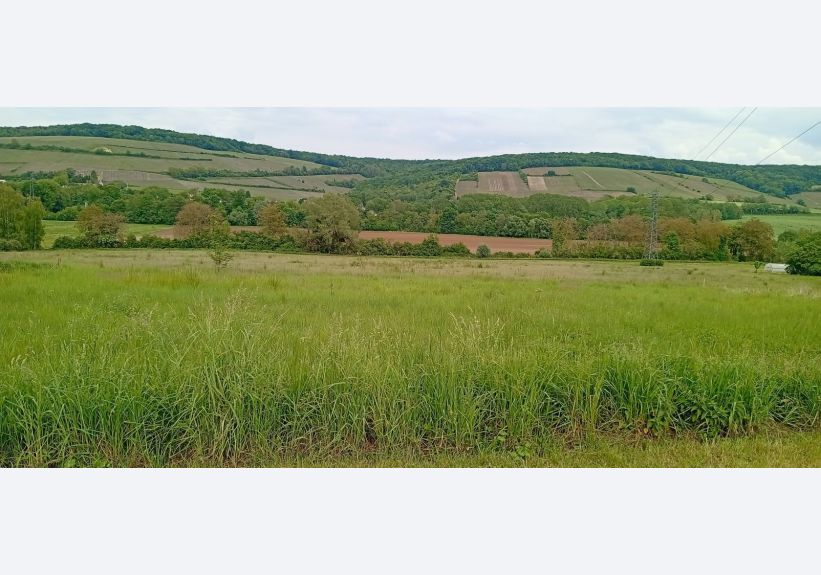 Image du modèle de maison 1000014019