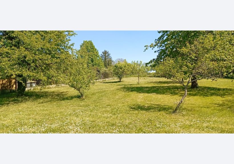 Image du modèle de maison 1746019920324