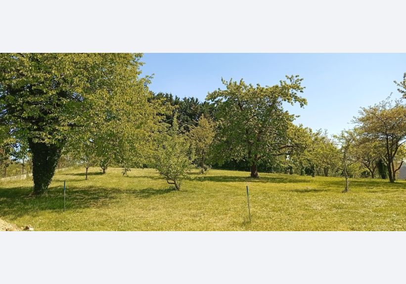 Image du modèle de maison 1746019920319