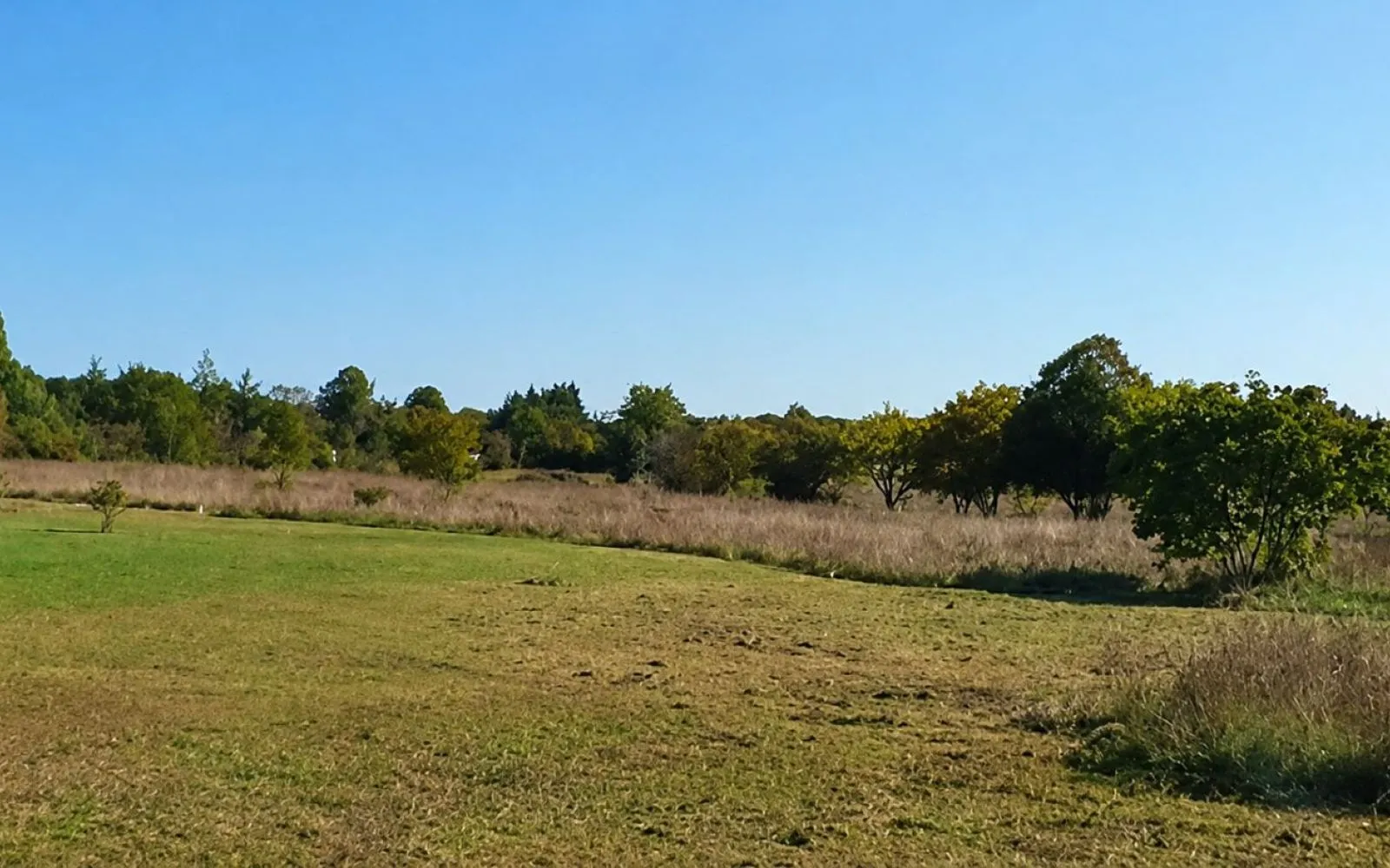 Terrain à bâtir de 1483 m2 au prix de 106598 € à PONT-L'ABBE-D'ARNOULT. à Pont-l'Abbé-d'Arnoult — photo 1