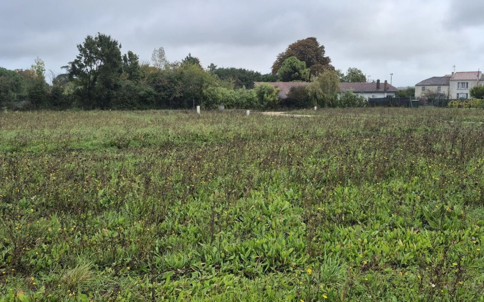 Terrain à bâtir de 589 m2 au prix de 47120 € à TESSON. à Tesson — photo 3