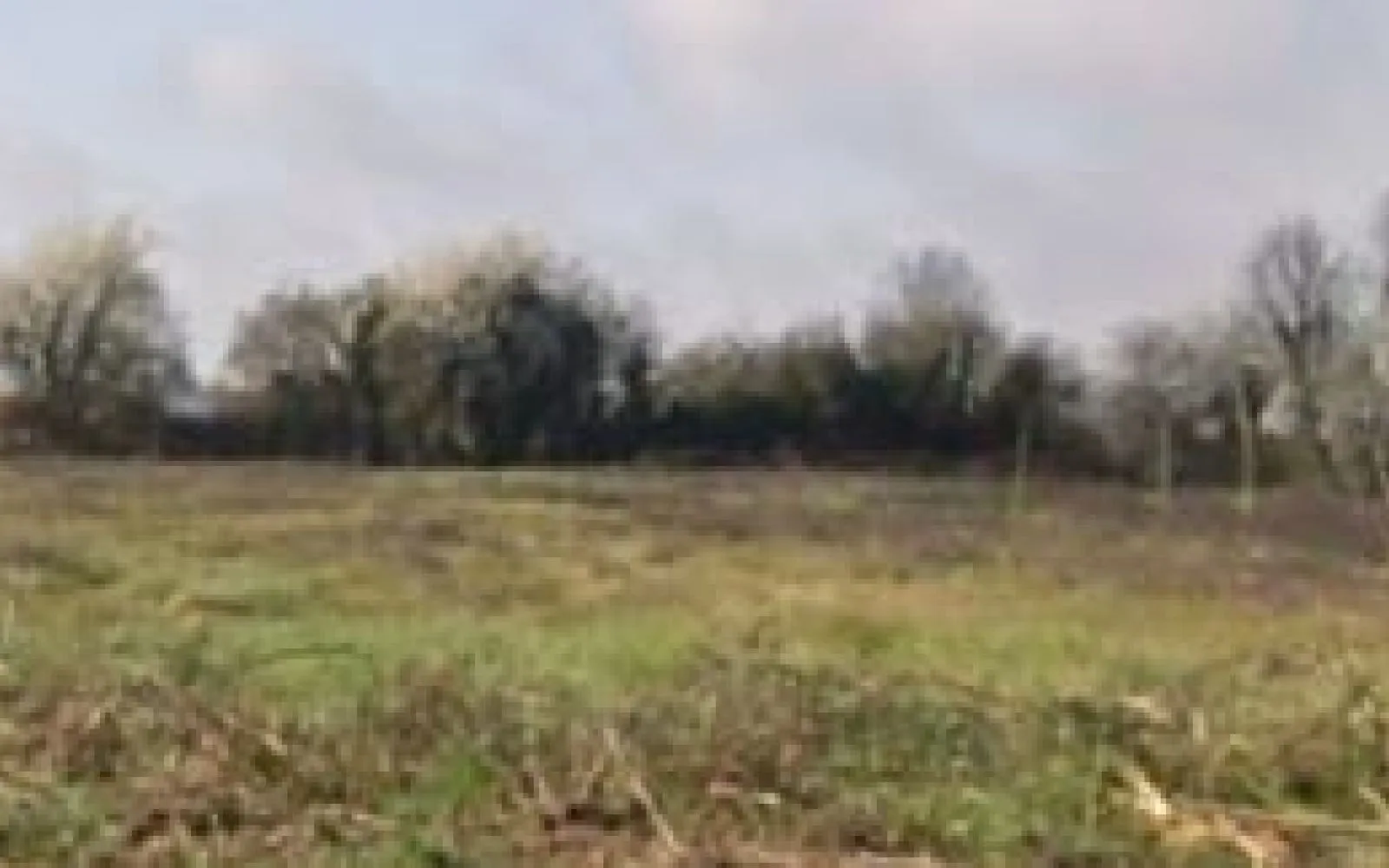 Terrain à bâtir de 725 m2 au prix de 66700 € à CORME-ROYAL. à Corme-Royal — photo 1