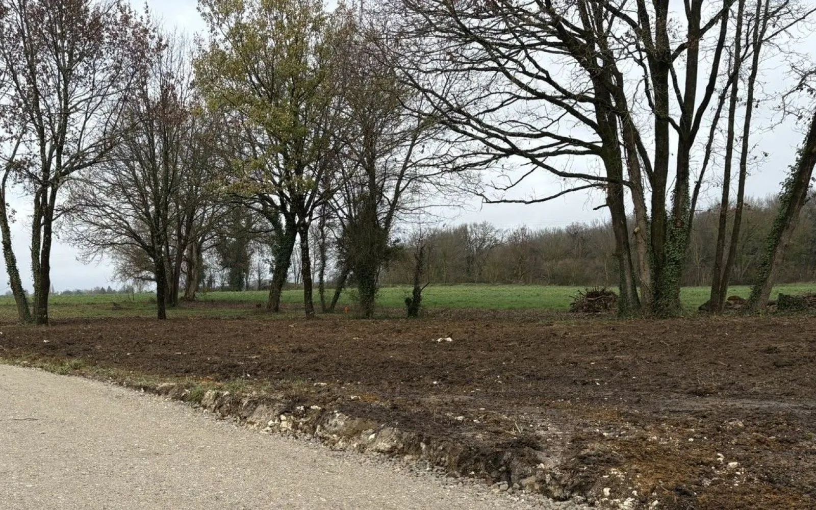 Maison 90.6 m² avec terrain à TESSON à Tesson — photo 4