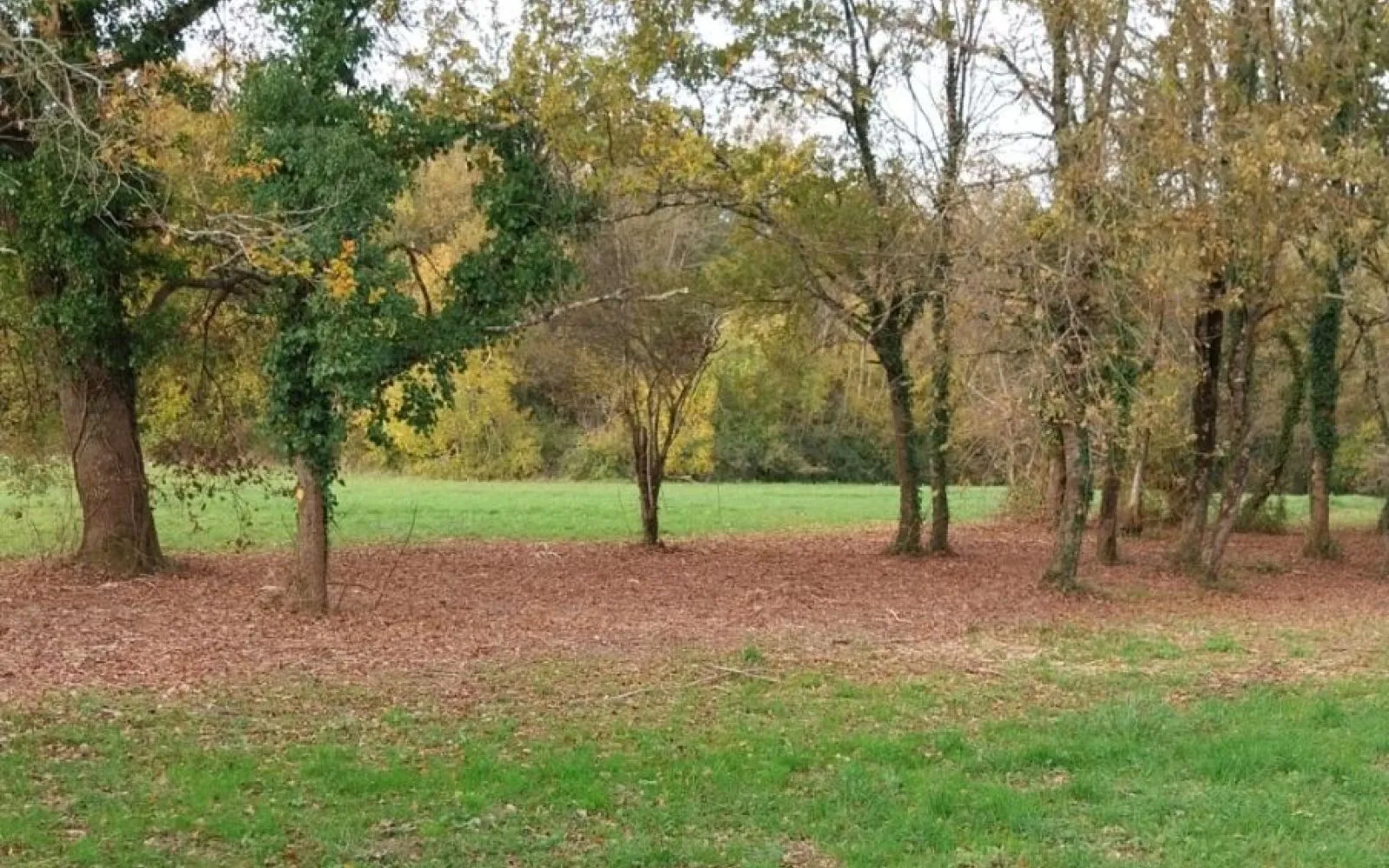 Terrain à bâtir de 2400 m2 au prix de 54000 € à LA CHAPELLE-DES-POTS. à La Chapelle-des-Pots — photo 1