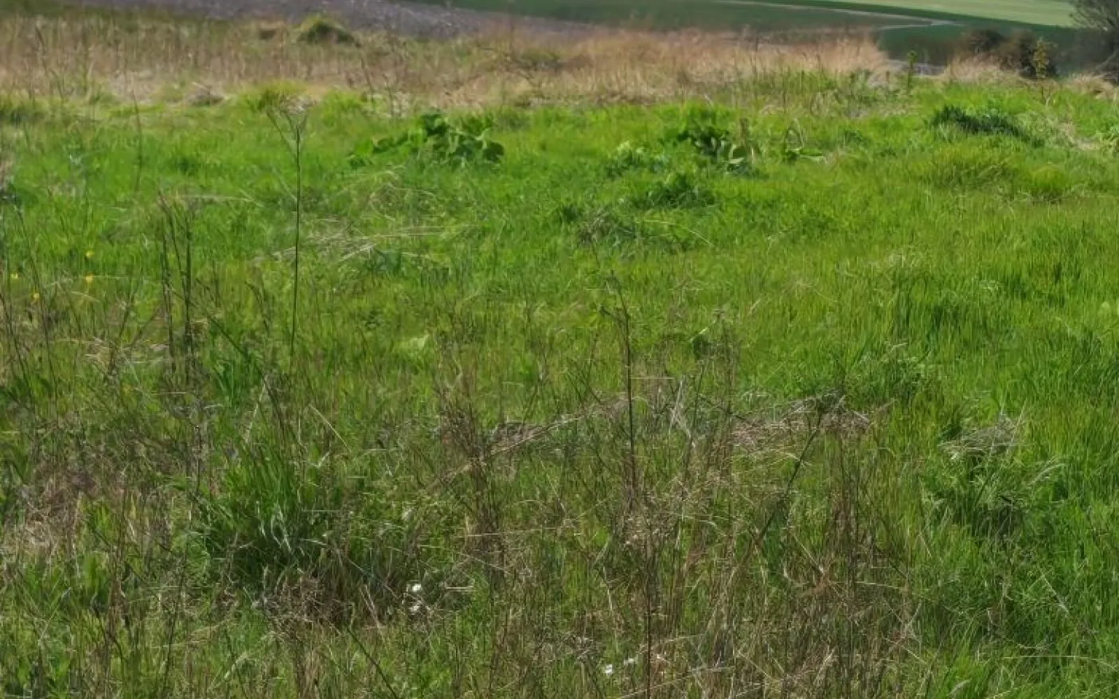 Terrain à bâtir de 664 m2 au prix de 61440 € à PREGUILLAC. à Préguillac — photo 1