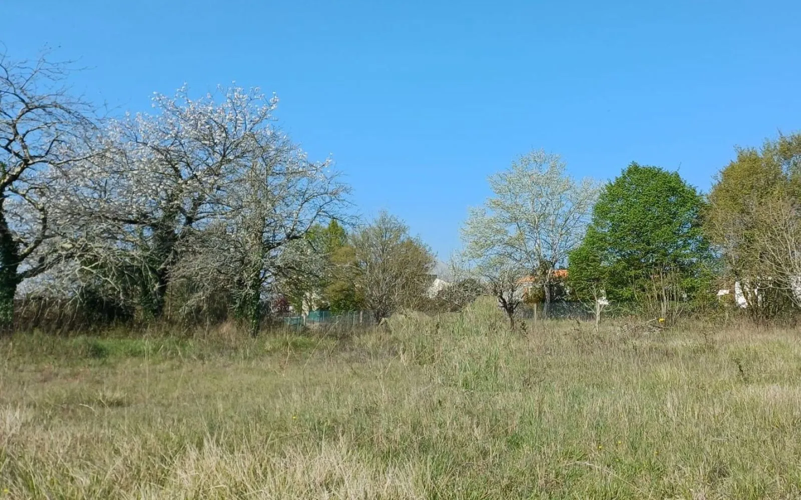 Terrain à bâtir de 439 m2 au prix de 67500 € à SAINTES. à Saintes — photo 1