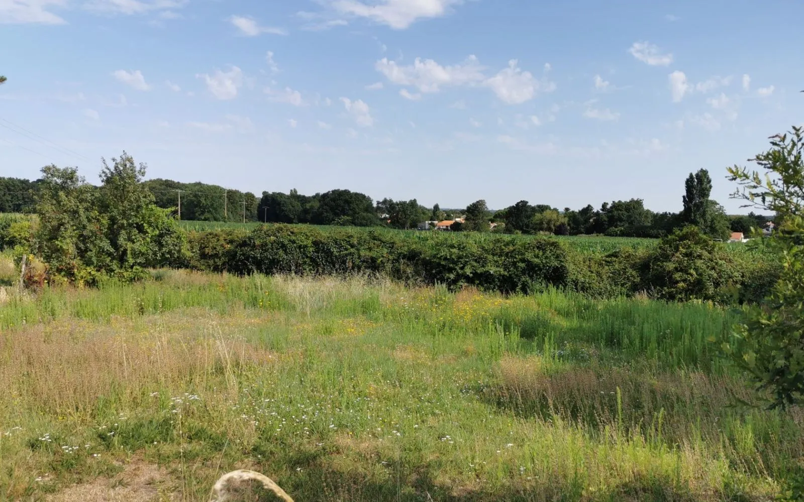 Maison 91 m² avec terrain à SAINT-JEAN-DE-LIVERSAY (17) à Saint-Jean-de-Liversay — photo 2