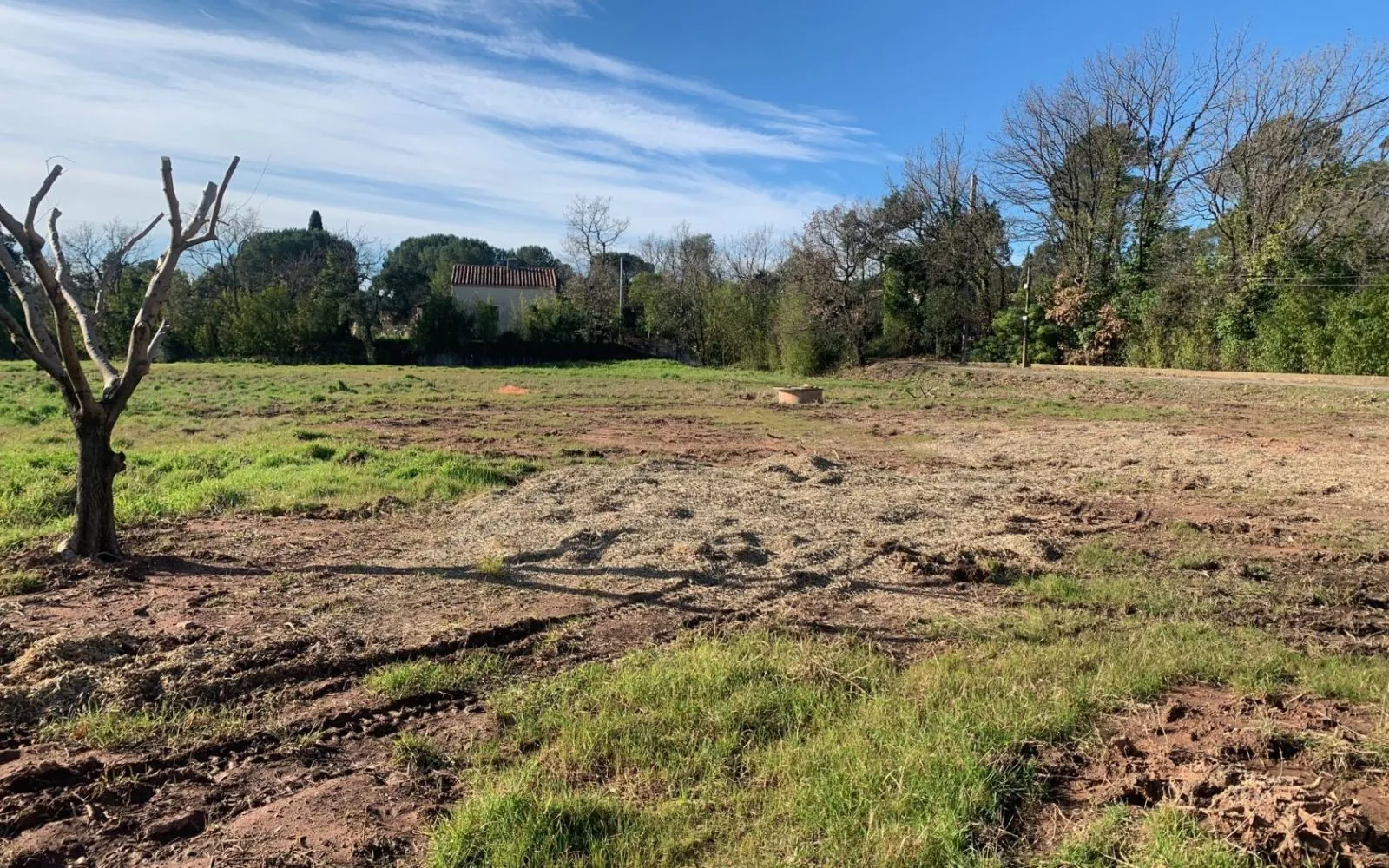 Maison 105 m² avec terrain à PUGET-SUR-ARGENS (83) à Puget-sur-Argens — photo 3